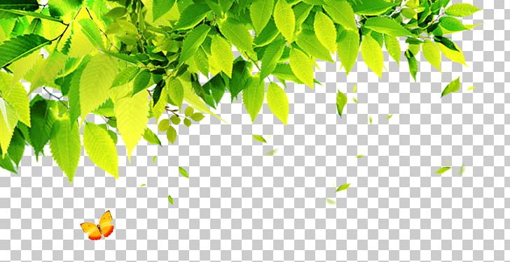 Poster PNG, Clipart, Advertising, Art, Autumn Leaf, Banner, Branch Free PNG Download