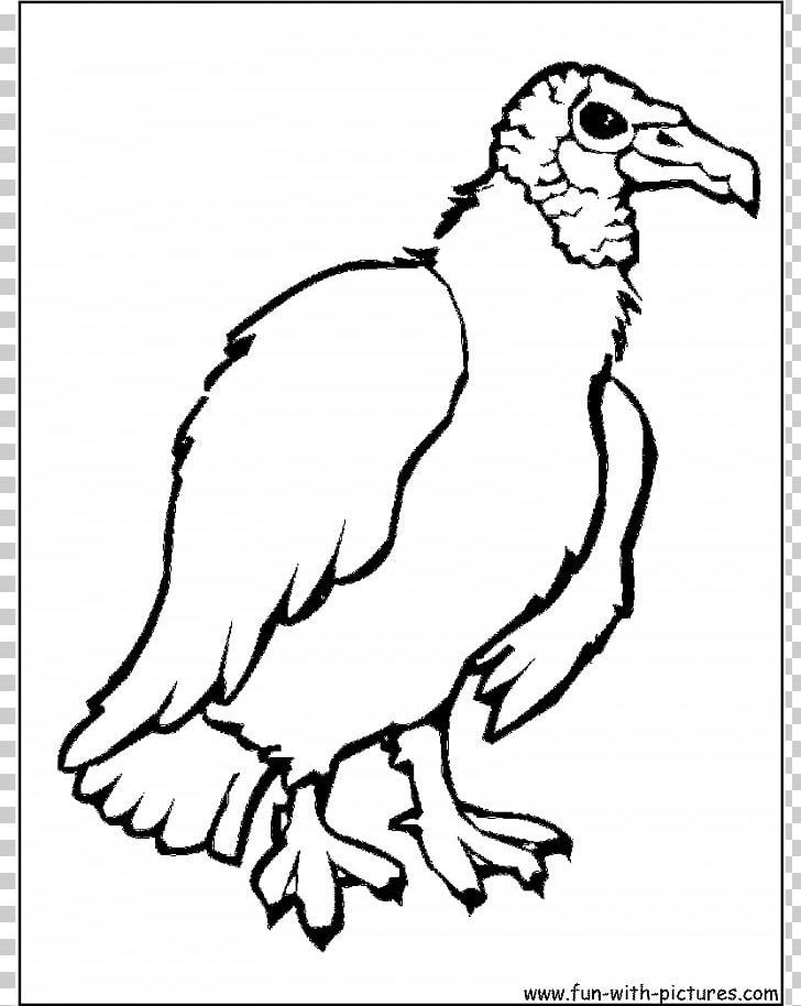 Turkey Vulture Bird Coloring Book Drawing Png Clipart Art Beak Bird Black And White Buzzard Free,Semiformal