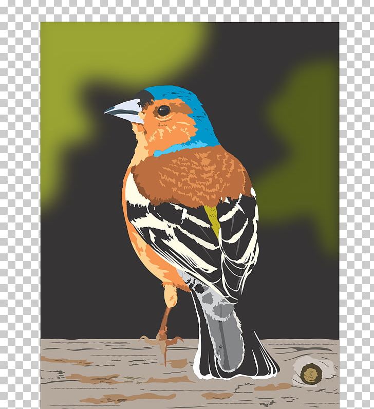 Bird Dinosaur Planet Finches PNG, Clipart, Animals, Avatar, Beak, Bird, Computer Icons Free PNG Download
