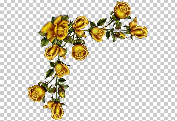 Garden Roses Paper PNG, Clipart, Branch, Clip Art, Color, Cut Flowers, Deqoupage Free PNG Download