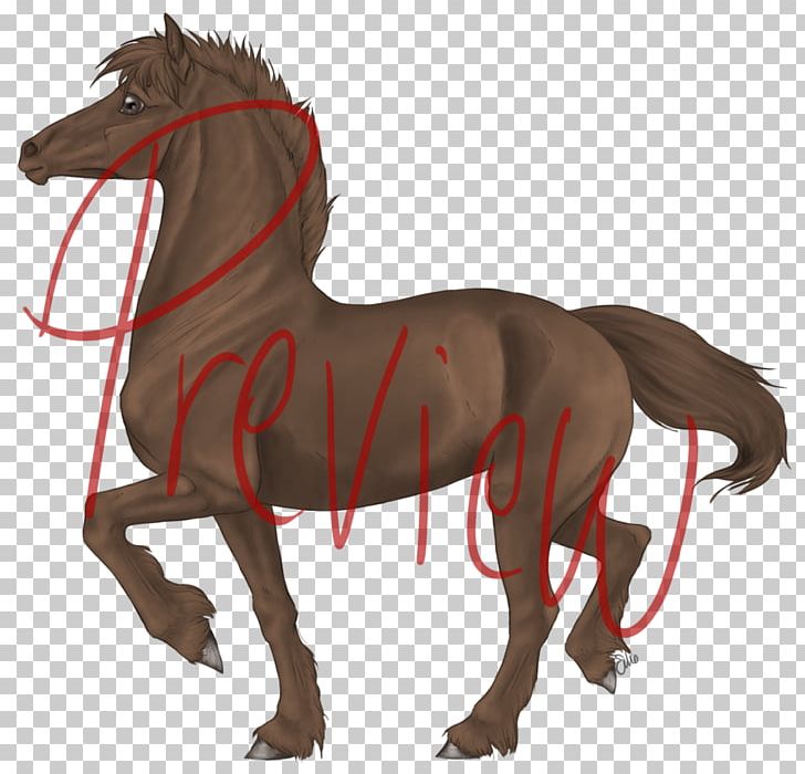 Pony Mare Foal Mustang Stallion PNG, Clipart, Artist, Bridle, Carnivoran, Deviantart, Dog Like Mammal Free PNG Download