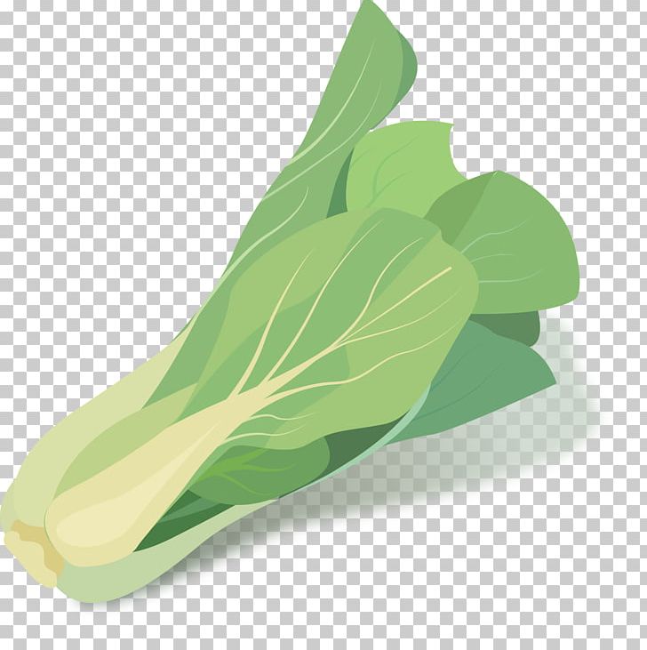 Cabbage Green Vegetable PNG, Clipart, Brassica Oleracea, Cabbage, Cooking, Drawing, Euc Free PNG Download