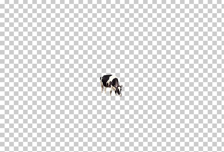 Dairy Cattle PNG, Clipart, Animal, Animals, Black, Black And White, Cattle Free PNG Download