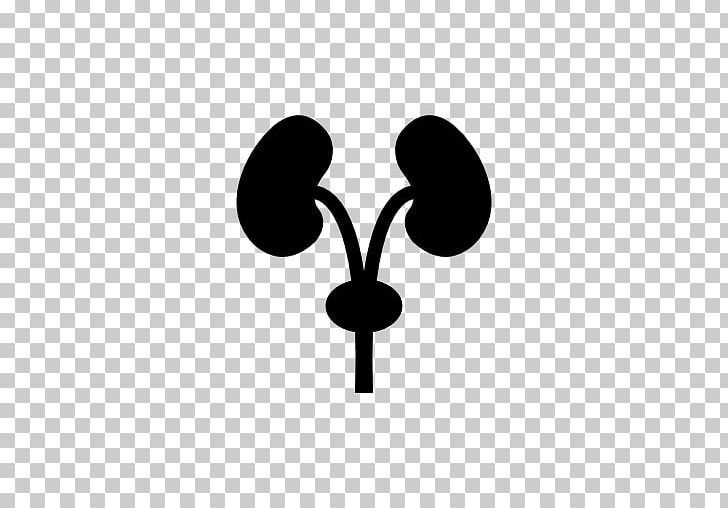 Medicine Excretory System Urology Computer Icons PNG, Clipart, Black And White, Brand, Circle, Computer Icons, Disease Free PNG Download
