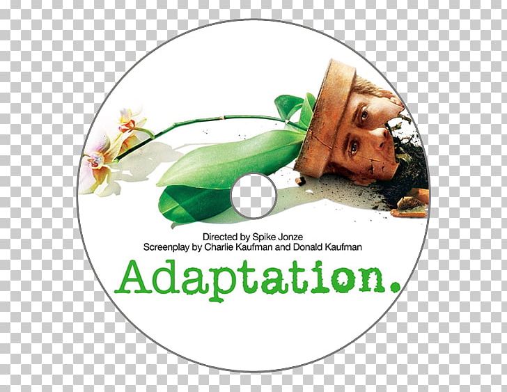 Television Film Film Criticism Screenwriter Golden Globe Award For Best Motion – Drama PNG, Clipart, About Time, Adaptation, Charlie Kaufman, Christmas Ornament, Comedy Free PNG Download