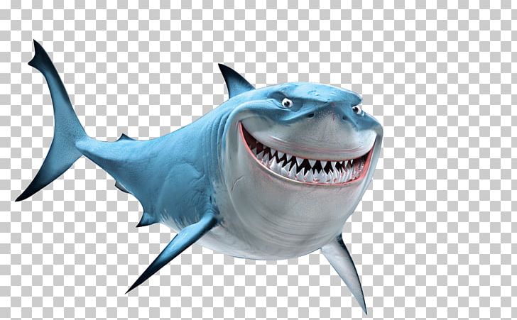 Bruce Nemo Drawing Marlin YouTube PNG, Clipart, Barry Humphries, Bruce, Carcharhiniformes, Cartilaginous Fish, Dory Free PNG Download