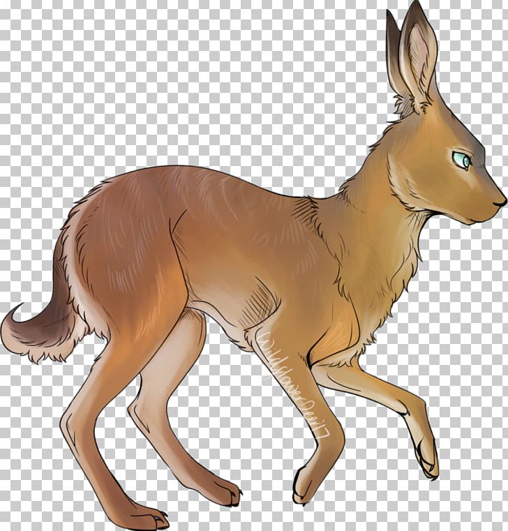 Canidae Hare Horse Deer Kangaroo PNG, Clipart, Animal, Animal Figure, Animals, Canidae, Carnivoran Free PNG Download