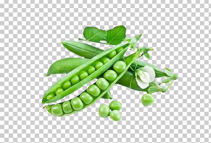 Snow Pea Snap Pea Seed Vegetable Green Bean PNG, Clipart, Bean, Commodity, Food, Food Drinks, Fruit Free PNG Download