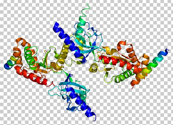 Voltage-gated Calcium Channel Protein CACNB3 Gene Voltage-gated Ion Channel PNG, Clipart, Antibody, Area, Calcium, Calcium Channel, Calmodulin Free PNG Download
