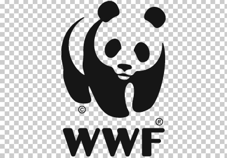 World Wide Fund For Nature Organization Cass Business School Conservation Natural Environment PNG, Clipart, Black, Black And White, Carnivoran, Cass Business School, Conservation Free PNG Download