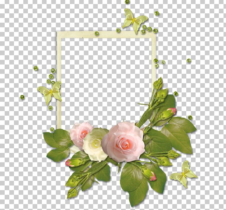 Frame Beach Rose Pink PNG, Clipart, Artificial Flower, Border Frame, Download, Film Frame, Flora Free PNG Download