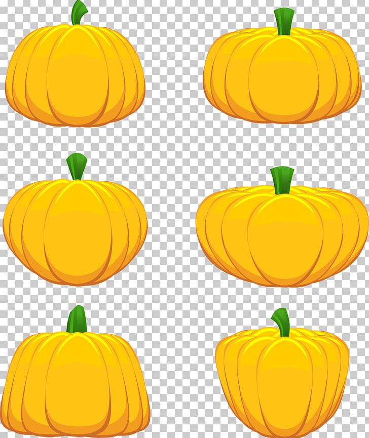 Jack-o-lantern Calabaza Pumpkin PNG, Clipart, Calabaza, Cartoon, Food, Fruit, Gourd Free PNG Download
