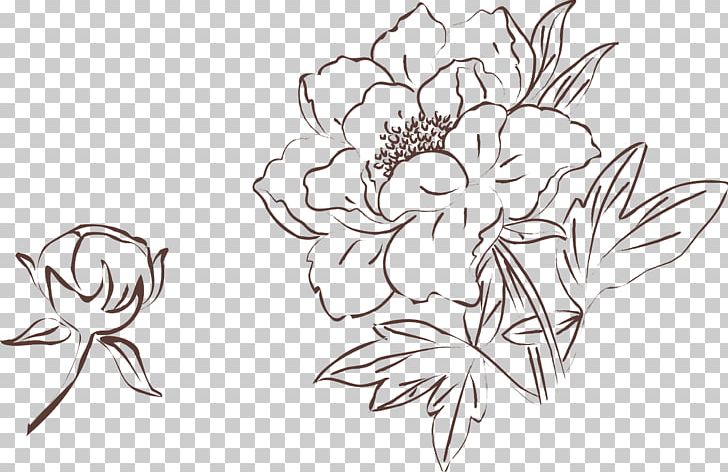 Moutan Peony Drawing Painting PNG, Clipart, Art, Artwork, Black, Flower, Flower Arranging Free PNG Download