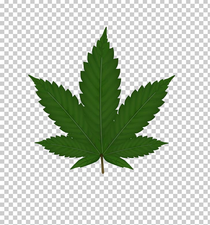 Cannabis Sativa Leaf PNG, Clipart, 420 Day, Blunt, Cannabis, Cannabis Png, Cannabis Sativa Free PNG Download