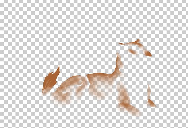Cat Dog Canidae Paw Tail PNG, Clipart, Animals, Canidae, Carnivoran, Cat, Darking In The Frankxx Free PNG Download