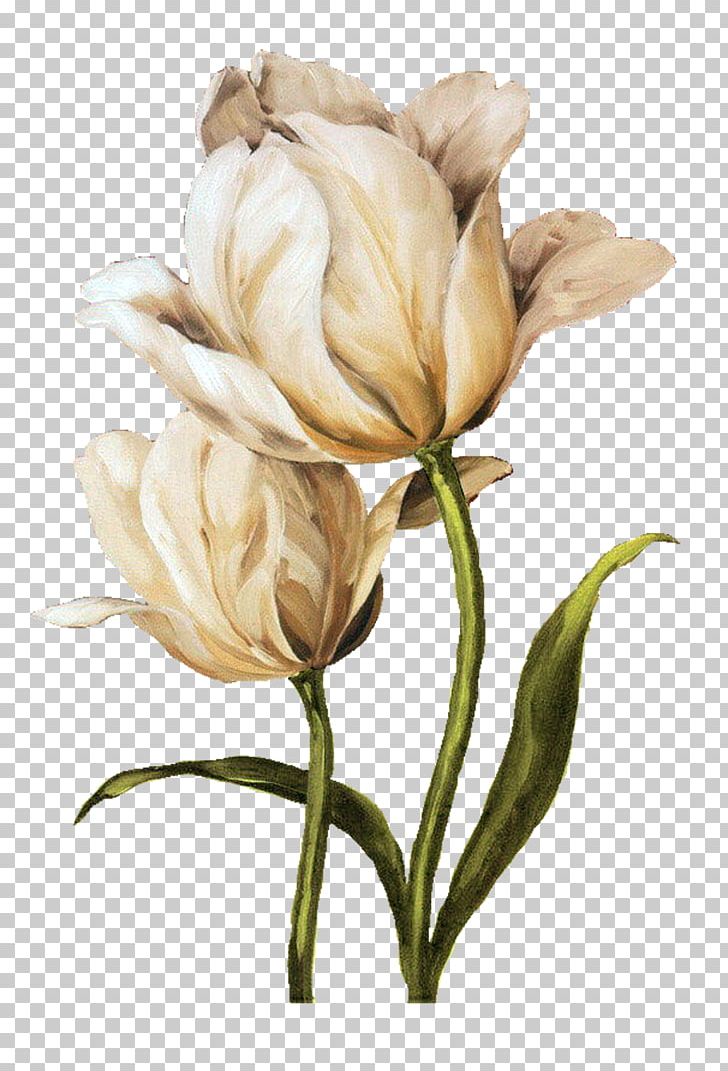 Flower Amycus Carrow Painting Alecto Carrow PNG, Clipart, Alecto, Alecto Carrow, Amycus, Amycus Carrow, Art Free PNG Download