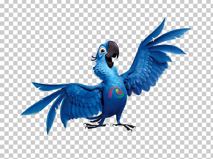 Rio: Blu And Friends Rio 2: One Big Blue Family PNG, Clipart, Beak, Big Blue, Bird, Blu, Carlos Saldanha Free PNG Download