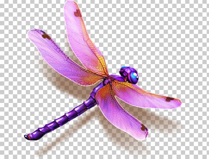 Shangri-La Hotels And Resorts Dragonfly Business PNG, Clipart, Cluster, Dragonflies And Damseflies, Hotel, Insect, Intellectual Property Free PNG Download