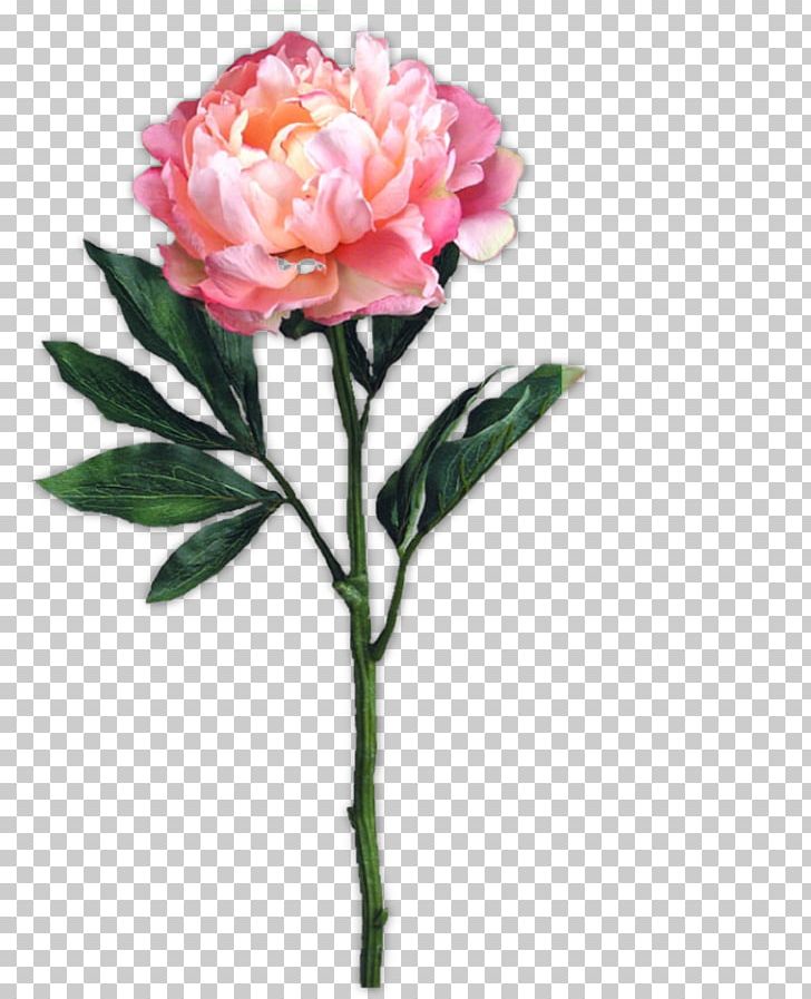 Garden Roses Cut Flowers Centifolia Roses Floribunda PNG, Clipart, Artificial Flower, Blume, Centifolia Roses, Cut Flowers, Drawing Free PNG Download
