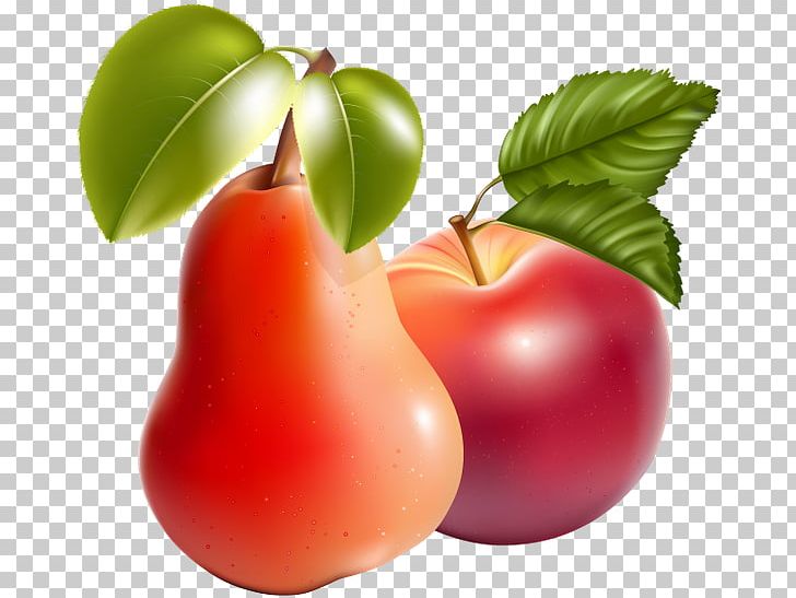 Apple PNG, Clipart, Acerola, Acerola Family, Apple, Apple Photos, Berry Free PNG Download