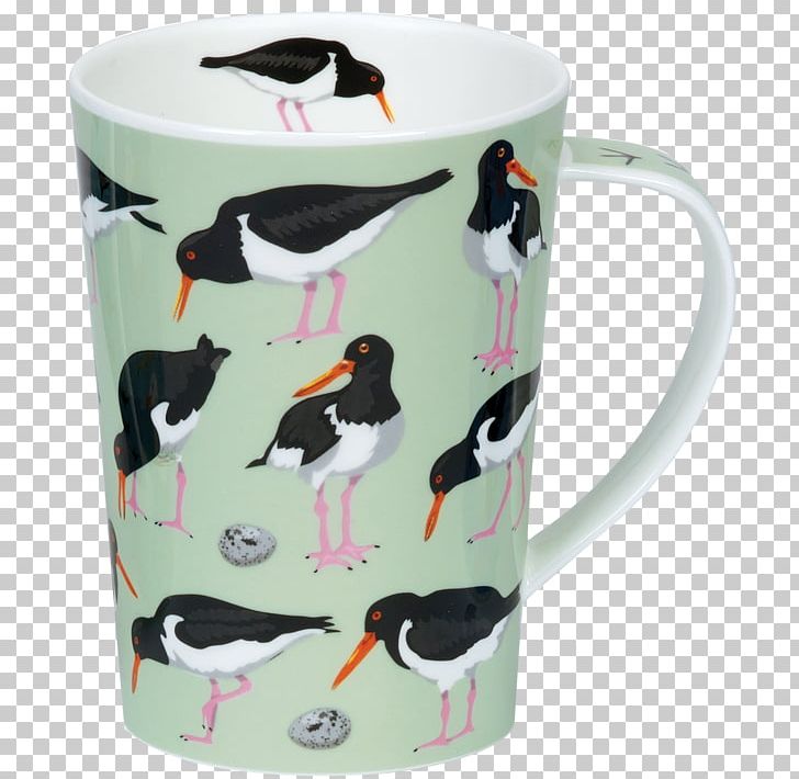 Bird Mug Coffee Cup Haematopus Argyll PNG, Clipart, American Oystercatcher, Animal, Animals, Argyll, Argyll And Bute Free PNG Download