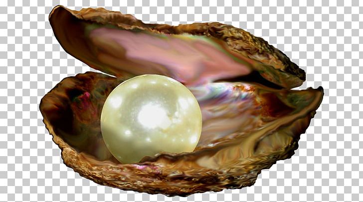 Parable Of The Pearl Parables Of Jesus Pearl Of Great Price Bible PNG, Clipart, Abalone, Bible, Clam, Clams Oysters Mussels And Scallops, God Free PNG Download