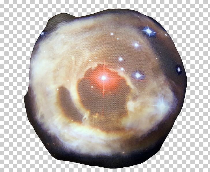 Stone And The T-Raptors V838 Monocerotis Snout Toronto Raptors Monoceros PNG, Clipart, Eye, Monoceros, Nba, Organism, Snout Free PNG Download