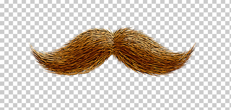 Moustache PNG, Clipart, Blond, Brown, Brown Hair, Costume, Costume Accessory Free PNG Download