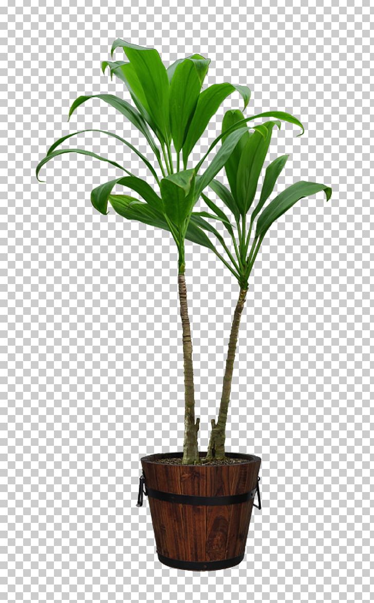 Flowerpot Computer File PNG, Clipart, Arecales, Bonsai, Computer File, Decorative Patterns, Download Free PNG Download