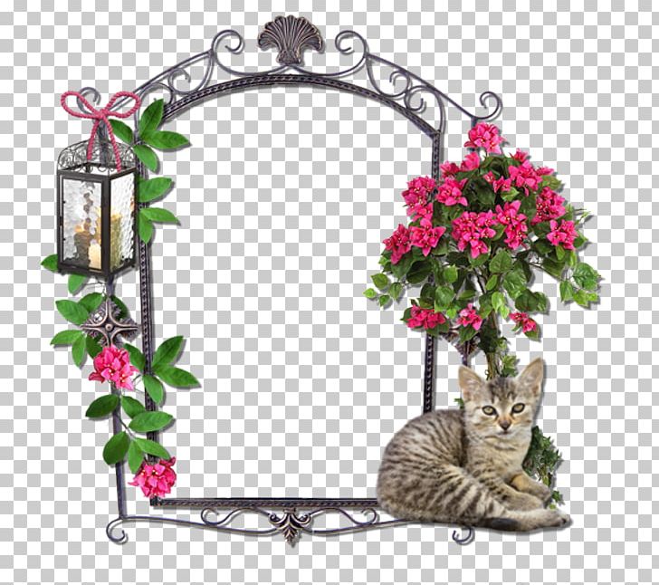 Photography Flower PNG, Clipart, Blog, Cerceve, Cerceve Resimleri, Flora, Floral Design Free PNG Download