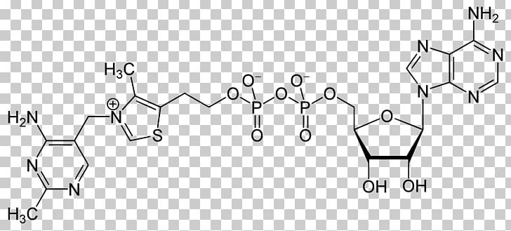 Adenosine Triphosphate Adenosine Diphosphate S-Adenosyl Methionine Grup Fosfat PNG, Clipart,  Free PNG Download