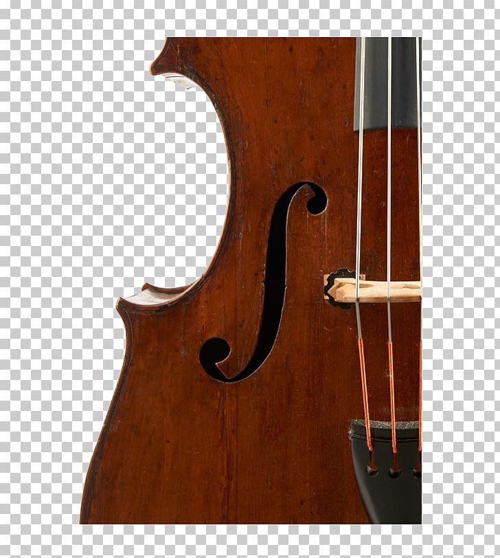 Bass Violin Double Bass Violone Viola Bass Guitar PNG, Clipart, Acousticelectric Guitar, Acoustic Electric Guitar, Bass Guitar, Bass Violin, Bowed String Instrument Free PNG Download