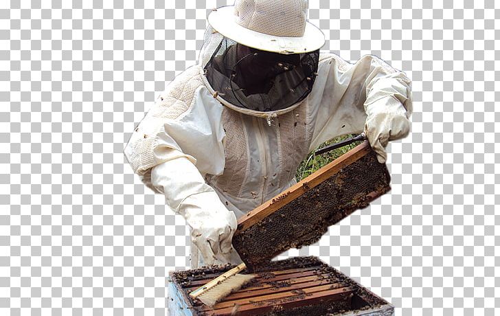 Beekeeper Itatiba Beekeeping Apitherapy Beehive PNG, Clipart, Apitherapy, Area, Beehive, Beekeeper, Beekeeping Free PNG Download