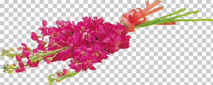 Flower Photography PNG, Clipart, Aquarium Decor, Branch, Cdr, Cut Flowers, Download Free PNG Download