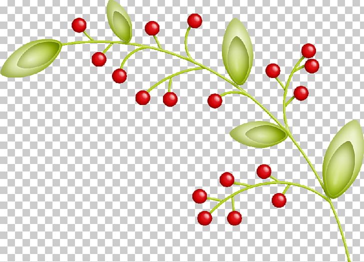Flowering Plant Leaf Tree Frames PNG, Clipart, Arecaceae, Branch, Flower, Flowering Plant, Food Free PNG Download