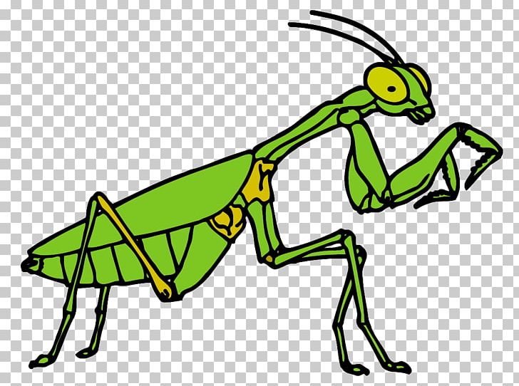 Interesting Insects PNG, Clipart, Animal Figure, Animals, Area, Artwork, Black And White Free PNG Download