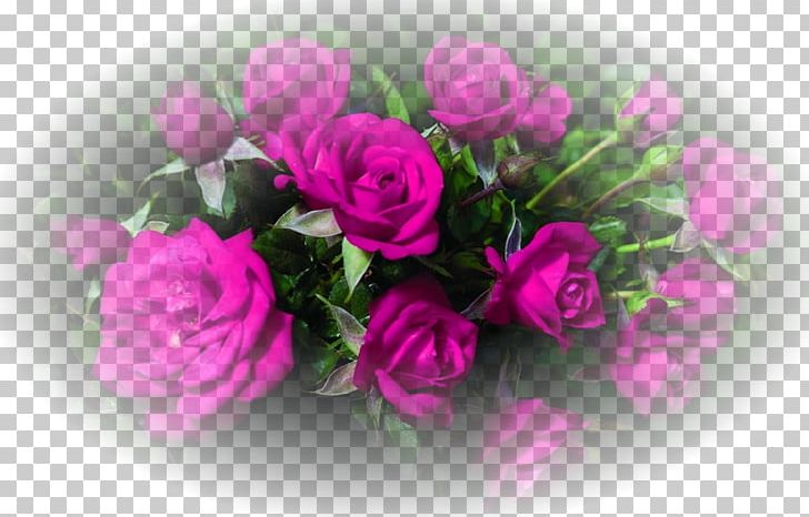 Rose Desktop Cut Flowers PNG, Clipart, Annual Plant, Artificial Flower, Color, Desktop Wallpaper, Floribunda Free PNG Download
