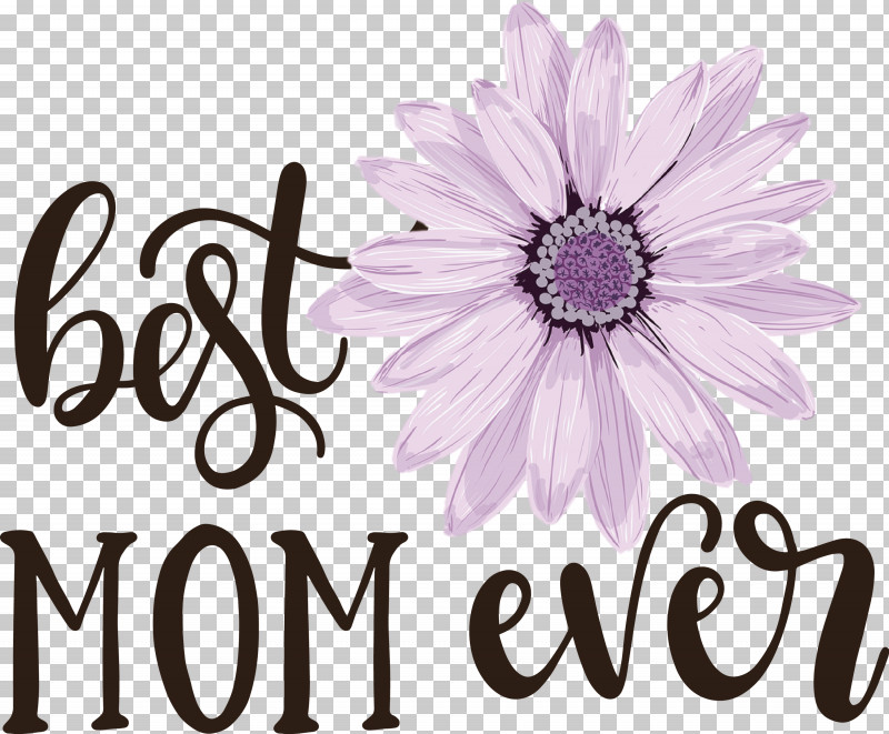 Mothers Day Best Mom Ever Mothers Day Quote PNG, Clipart, Best Mom Ever, Common Daisy, Cut Flowers, Floral Design, Flower Free PNG Download