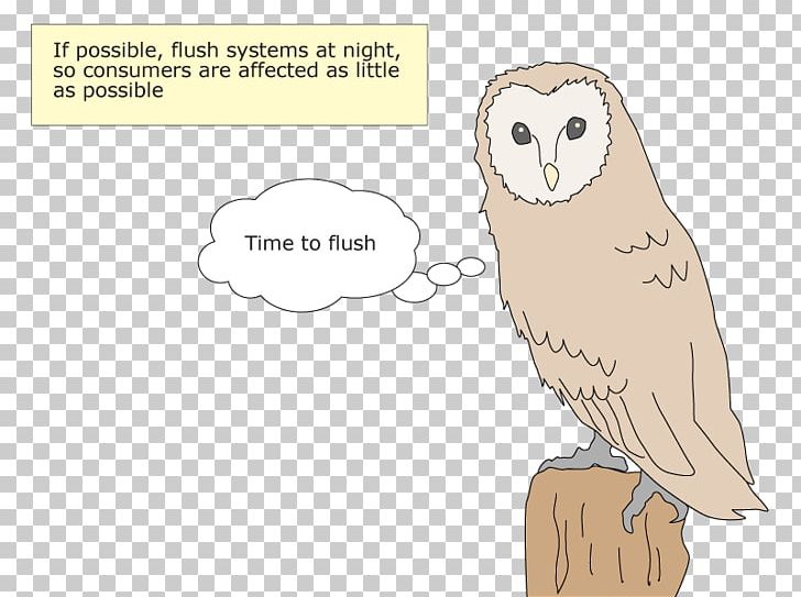 Owl Beak Bird Of Prey PNG, Clipart, Animals, Beak, Bird, Bird Of Prey, Cartoon Free PNG Download