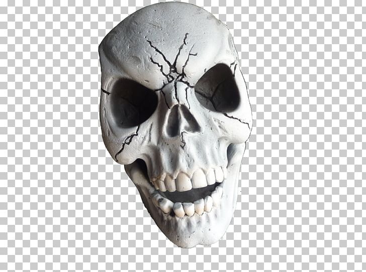 Skeleton Skull Desktop PNG, Clipart, Bone, Computer Icons, Desktop Wallpaper, Fantasy, Head Free PNG Download