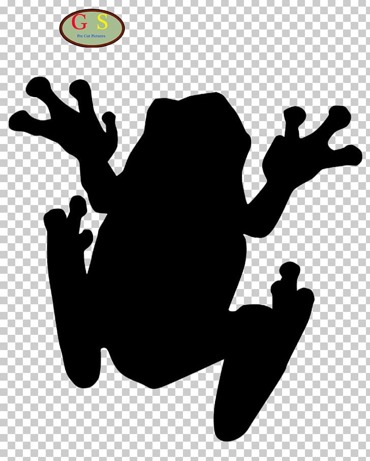 The Tree Frog Toad PNG, Clipart, American Green Tree Frog, Amphibian, Animals, Australian Green Tree Frog, Cane Toad Free PNG Download