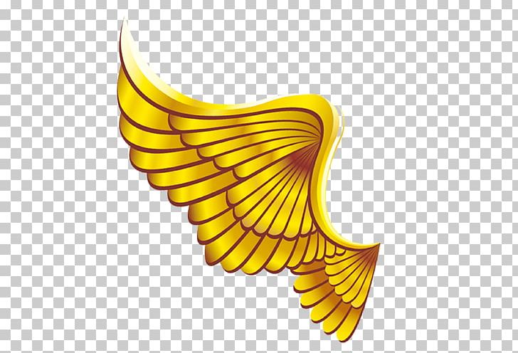 Wing PNG, Clipart, Angel, Angel Wing, Angel Wings, Anime Character, Borders Free PNG Download
