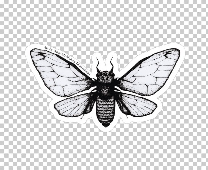 Butterfly Sticker Decal Cicadoidea Fly Fishing PNG, Clipart, Amy, Arthropod, Black And White, Butterfly, Cicada Free PNG Download