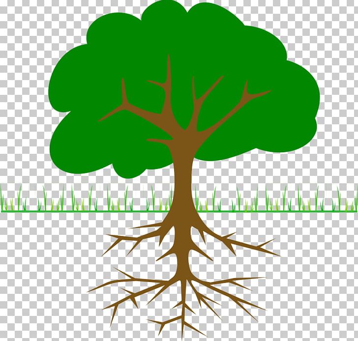 The Great Kapok Tree PNG, Clipart, Branch, Christmas Tree, Diagram, Flower, Flowering Plant Free PNG Download