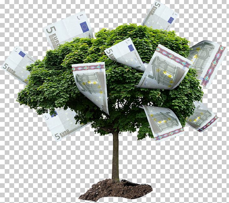 Tree Stock Photography Drawing Money PNG, Clipart, Acer Ginnala, Can Stock Photo, Cash, Depositphotos, Drawing Free PNG Download