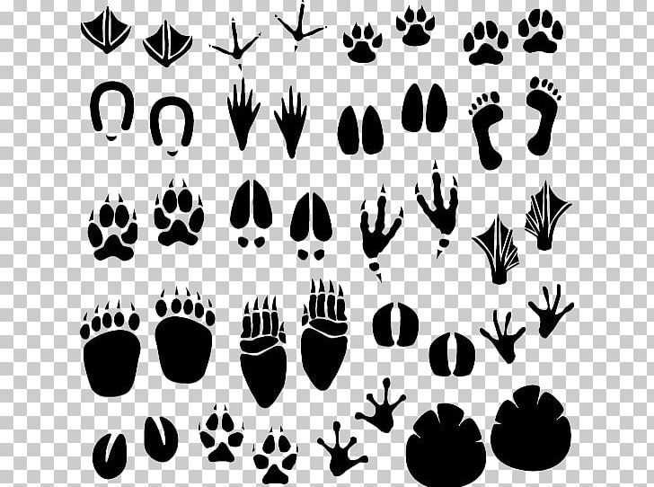 Footprint Animal Track PNG, Clipart, Animal, Animals, Beach Footprints, Black, Black And White Free PNG Download