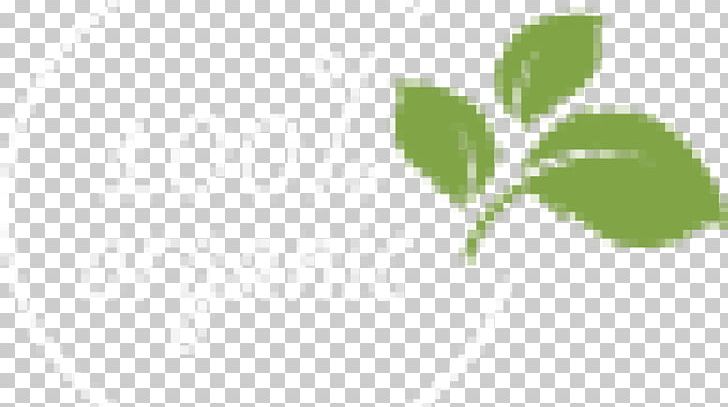 Green Leaf Plant Stem Font PNG, Clipart, Branch, Ciftlik, Grass, Green, Herb Free PNG Download