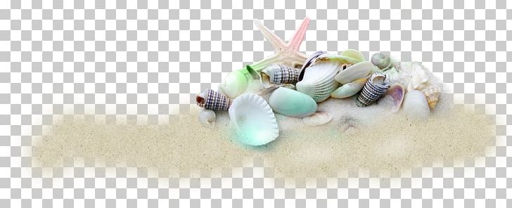 Seashell Beach Of La Concha Shell Beach PNG, Clipart, Animals, Beach, Beach Of La Concha, Bead, Body Jewelry Free PNG Download