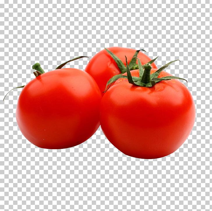Tomato Juice Tomato Soup Pasta Italian Cuisine PNG, Clipart, Bush Tomato, Canned Tomato, Carrot, Cherry Tomato, Determinate Cultivar Free PNG Download