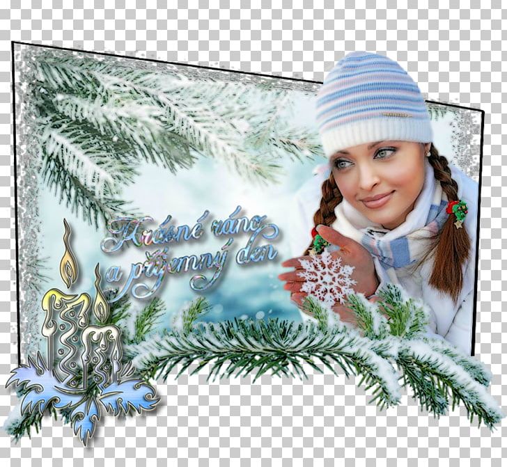 Christmas Tree Come Un Vaso Di Creta Italy National Rugby Union Team Christmas Ornament PNG, Clipart, Aishwarya Rai, Background Process, Christmas, Christmas Decoration, Christmas Ornament Free PNG Download